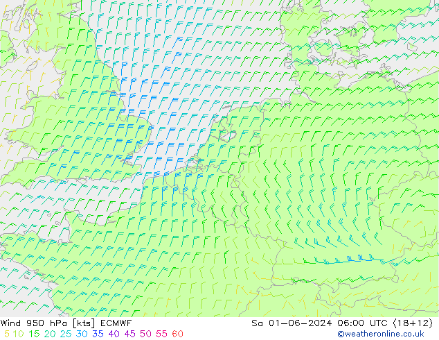 Wind 950 hPa ECMWF Sa 01.06.2024 06 UTC