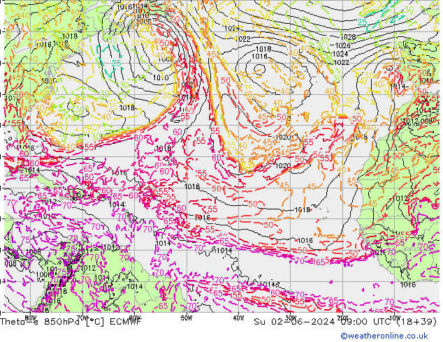 Theta-e 850гПа ECMWF Вс 02.06.2024 09 UTC