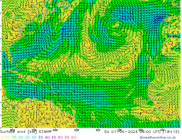  so. 01.06.2024 06 UTC