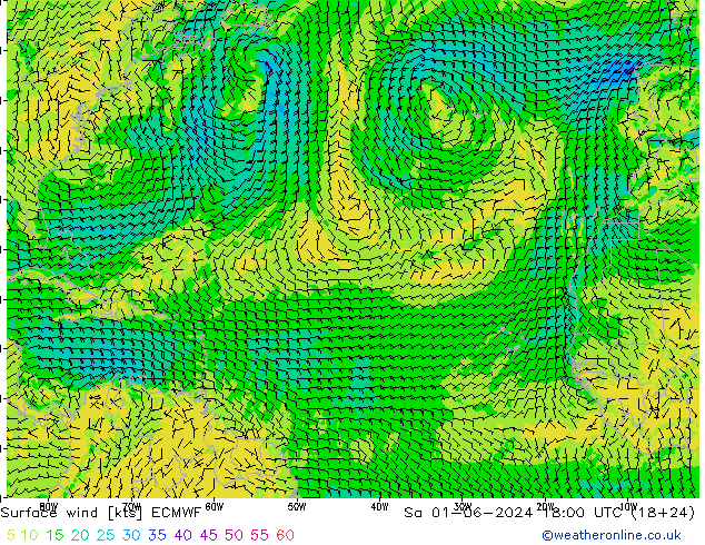 Surface wind ECMWF Sa 01.06.2024 18 UTC