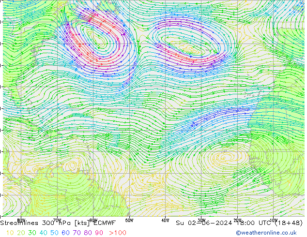 Linha de corrente 300 hPa ECMWF Dom 02.06.2024 18 UTC