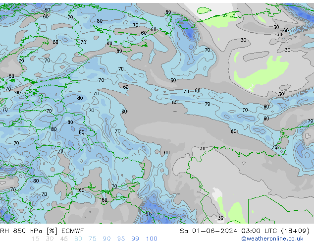 RH 850 hPa ECMWF Sa 01.06.2024 03 UTC