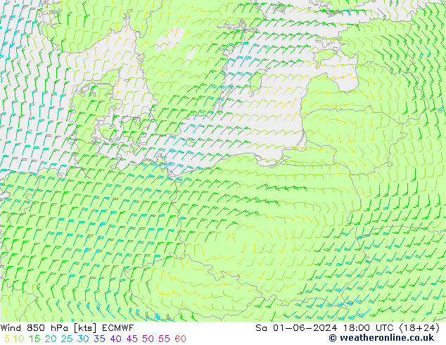 Wind 850 hPa ECMWF Sa 01.06.2024 18 UTC