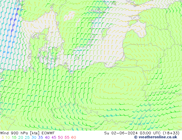 ветер 900 гПа ECMWF Вс 02.06.2024 03 UTC