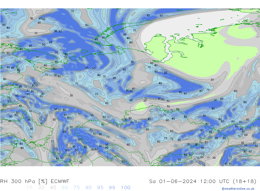 RV 300 hPa ECMWF za 01.06.2024 12 UTC