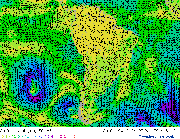 Viento 10 m ECMWF sáb 01.06.2024 03 UTC