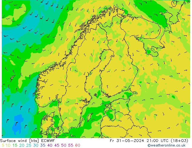 Bodenwind ECMWF Fr 31.05.2024 21 UTC