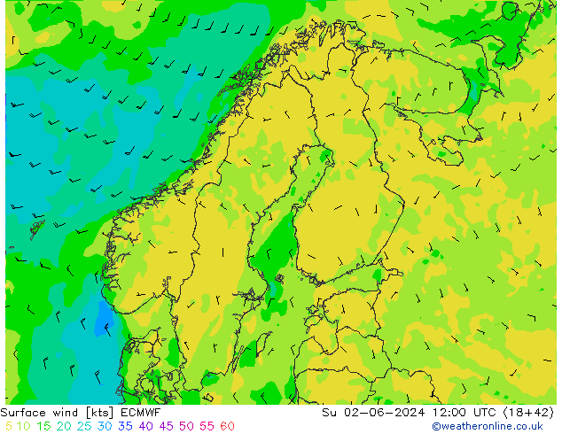 Vento 10 m ECMWF Dom 02.06.2024 12 UTC