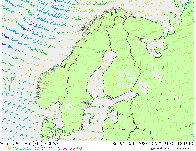风 900 hPa ECMWF 星期六 01.06.2024 00 UTC