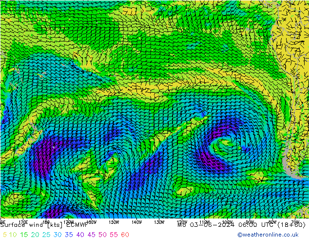 Bodenwind ECMWF Mo 03.06.2024 06 UTC