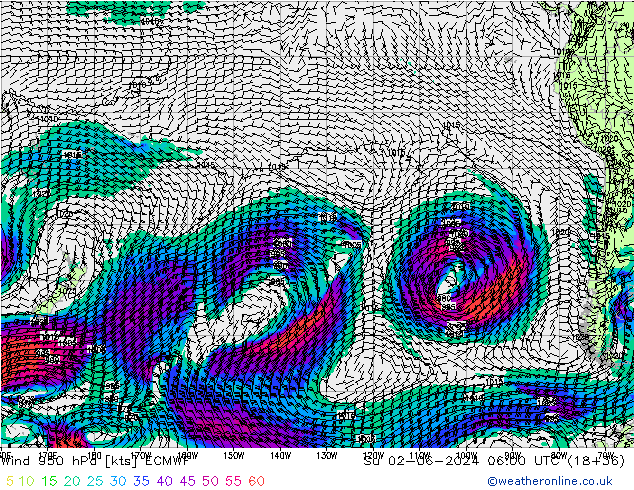 Wind 950 hPa ECMWF Su 02.06.2024 06 UTC