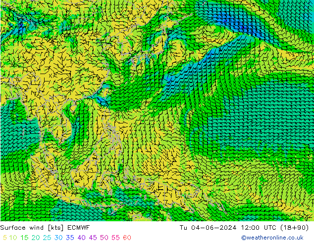Surface wind ECMWF Út 04.06.2024 12 UTC