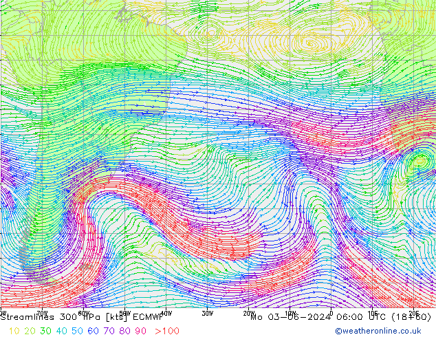 Linea di flusso 300 hPa ECMWF lun 03.06.2024 06 UTC