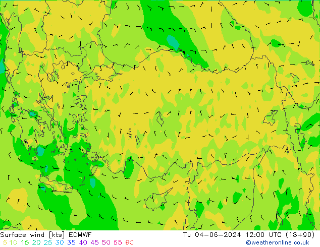 Wind 10 m ECMWF di 04.06.2024 12 UTC