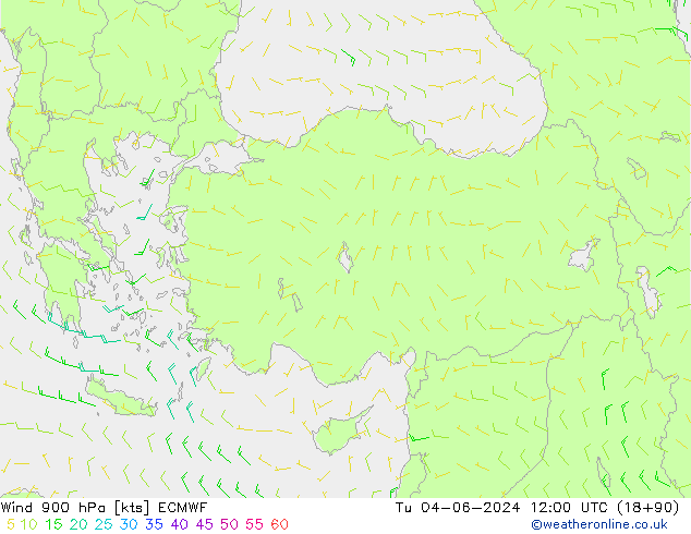 Wind 900 hPa ECMWF di 04.06.2024 12 UTC