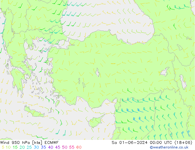 Wind 950 hPa ECMWF za 01.06.2024 00 UTC
