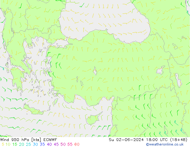 Wind 950 hPa ECMWF Su 02.06.2024 18 UTC