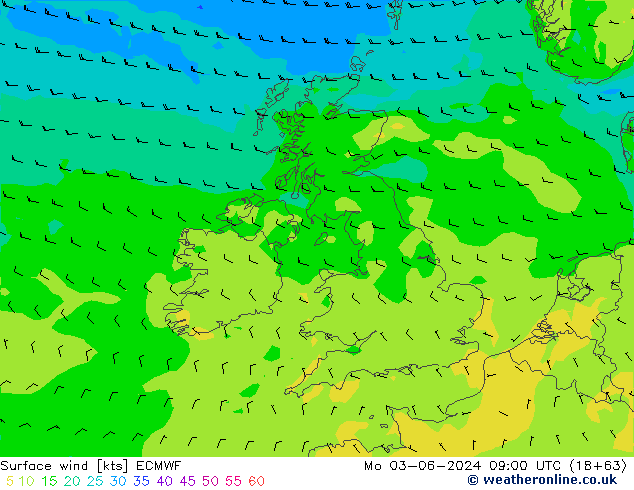 Rüzgar 10 m ECMWF Pzt 03.06.2024 09 UTC