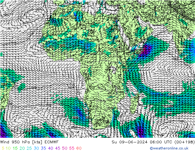 Wind 950 hPa ECMWF Su 09.06.2024 06 UTC