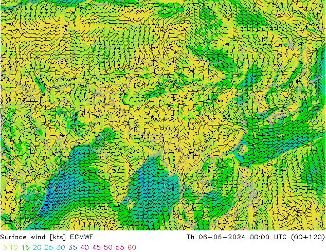 Surface wind ECMWF Th 06.06.2024 00 UTC