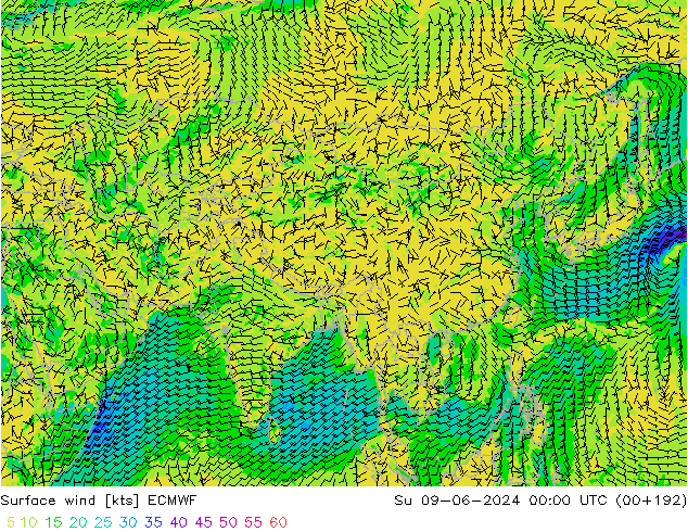  10 m ECMWF  09.06.2024 00 UTC