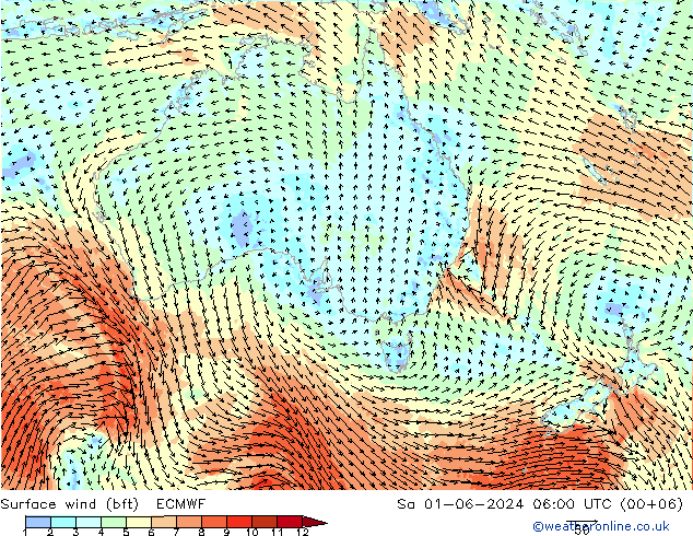 wiatr 10 m (bft) ECMWF so. 01.06.2024 06 UTC