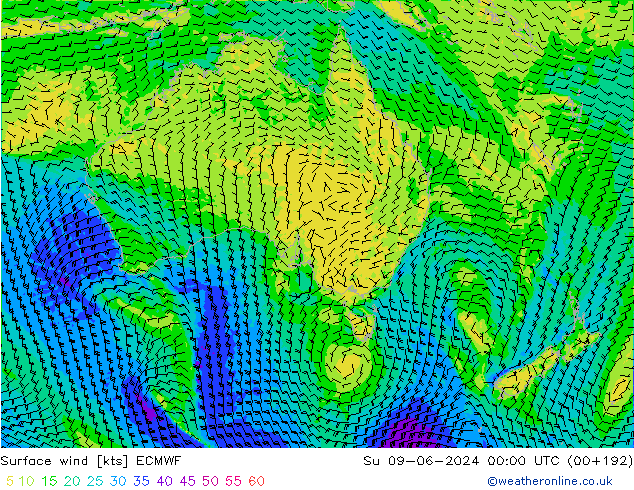 Vento 10 m ECMWF Dom 09.06.2024 00 UTC