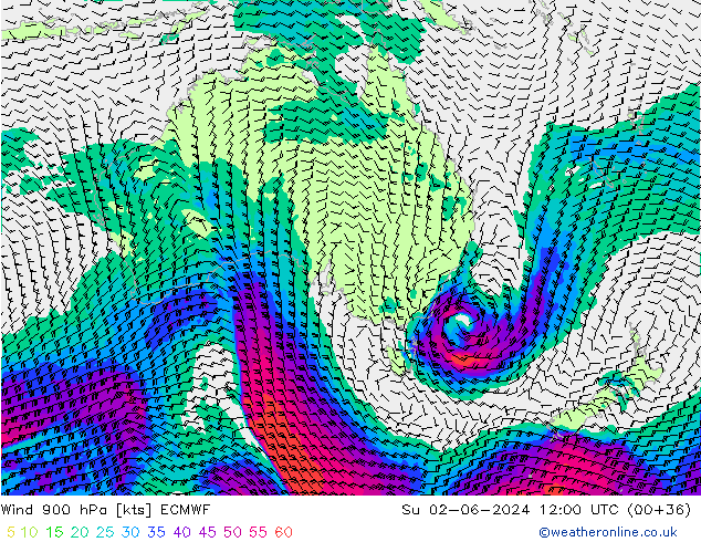 Wind 900 hPa ECMWF Su 02.06.2024 12 UTC