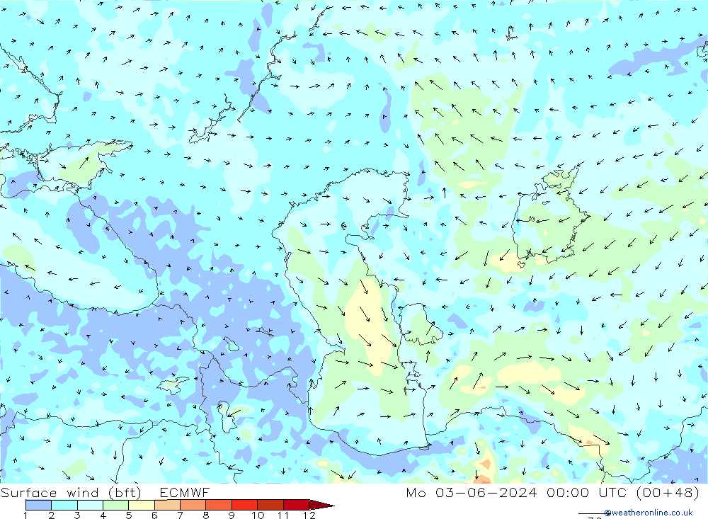 wiatr 10 m (bft) ECMWF pon. 03.06.2024 00 UTC