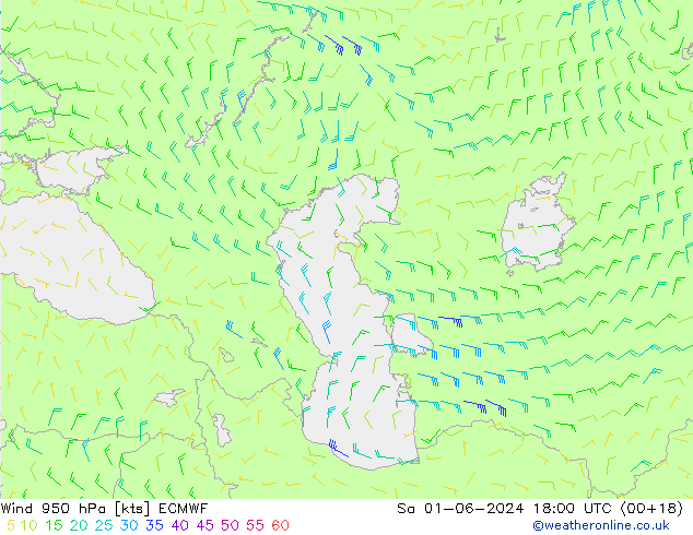 Wind 950 hPa ECMWF za 01.06.2024 18 UTC