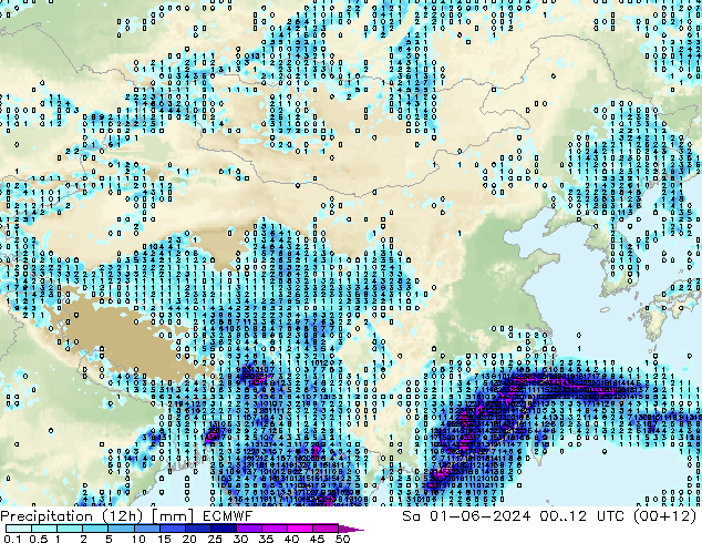 Precipitation (12h) ECMWF Sa 01.06.2024 12 UTC