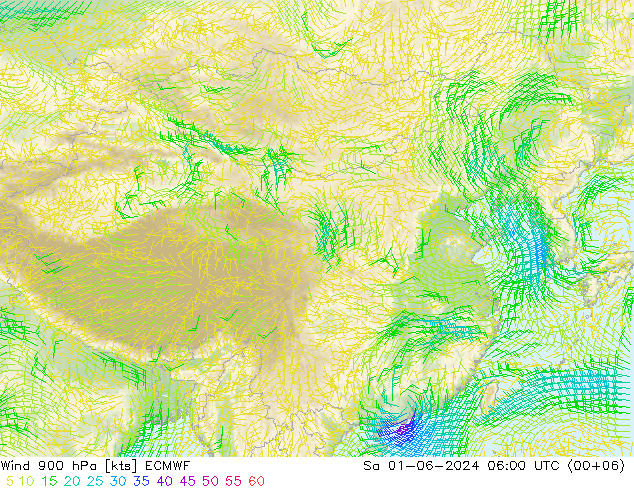风 900 hPa ECMWF 星期六 01.06.2024 06 UTC