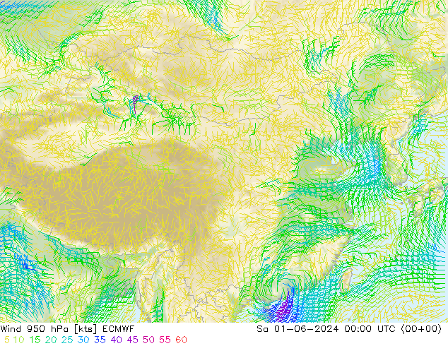 风 950 hPa ECMWF 星期六 01.06.2024 00 UTC