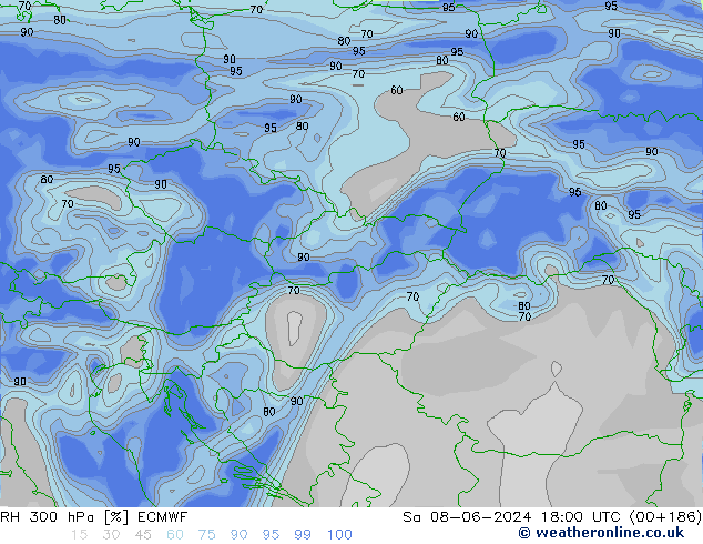 RV 300 hPa ECMWF za 08.06.2024 18 UTC