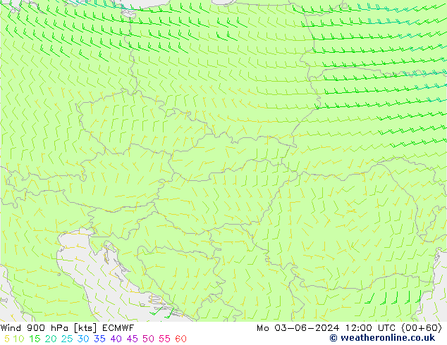  900 hPa ECMWF  03.06.2024 12 UTC