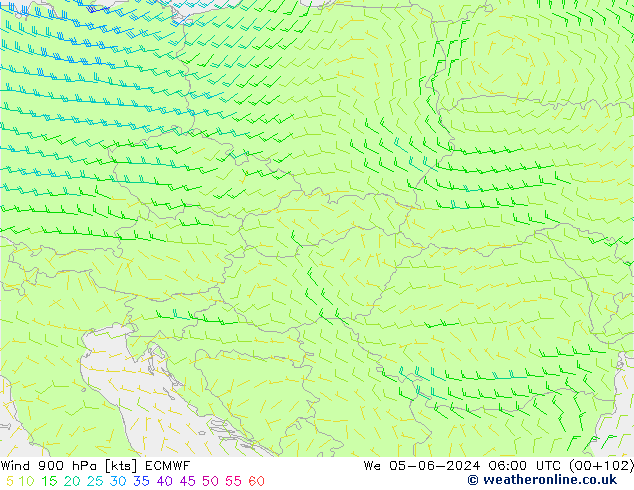 ветер 900 гПа ECMWF ср 05.06.2024 06 UTC