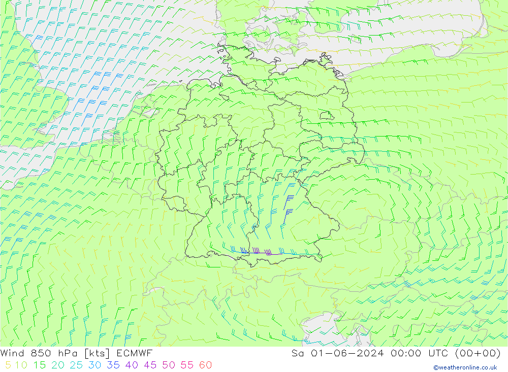  850 hPa ECMWF  01.06.2024 00 UTC