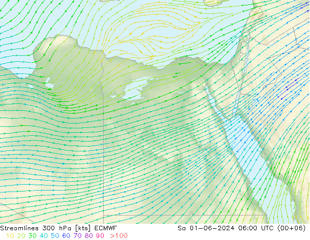 Stroomlijn 300 hPa ECMWF za 01.06.2024 06 UTC