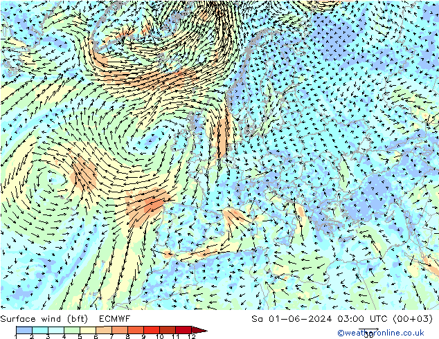 Surface wind (bft) ECMWF Sa 01.06.2024 03 UTC