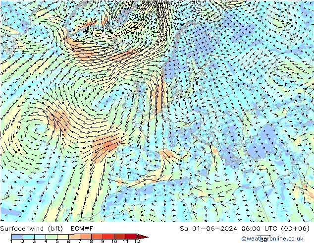 �N 10 米 (bft) ECMWF 星期六 01.06.2024 06 UTC