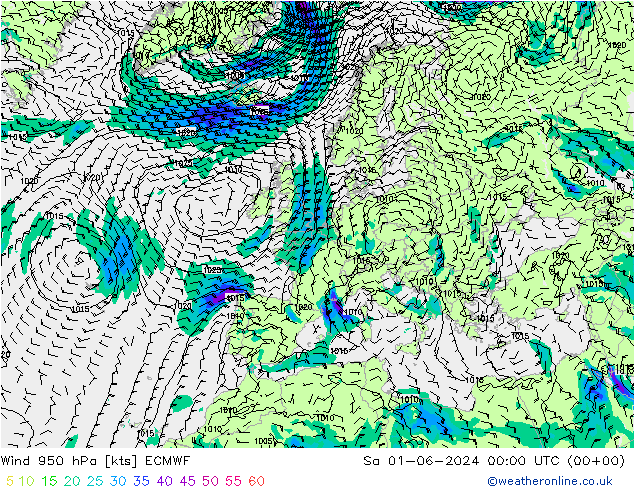 Wind 950 hPa ECMWF Sa 01.06.2024 00 UTC