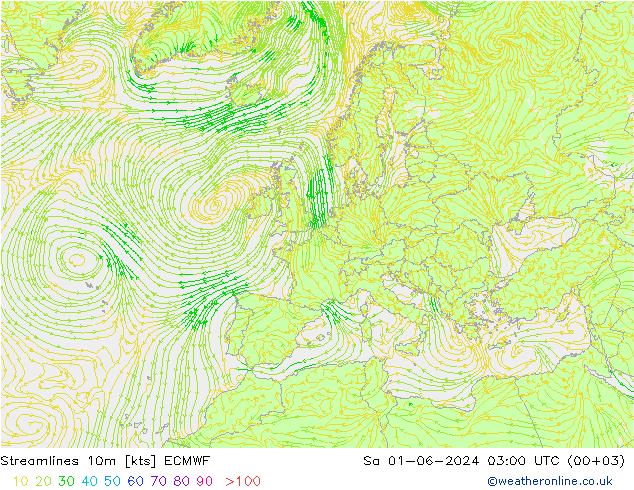 ветер 10m ECMWF сб 01.06.2024 03 UTC