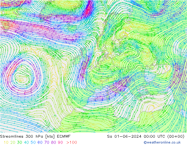 Streamlines 300 hPa ECMWF Sa 01.06.2024 00 UTC