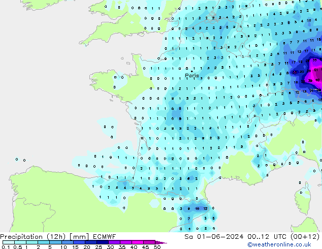 Precipitation (12h) ECMWF Sa 01.06.2024 12 UTC