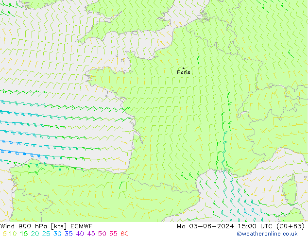 ветер 900 гПа ECMWF пн 03.06.2024 15 UTC