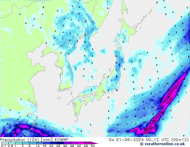 осадки (12h) ECMWF сб 01.06.2024 12 UTC