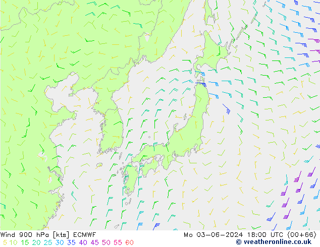 Rüzgar 900 hPa ECMWF Pzt 03.06.2024 18 UTC