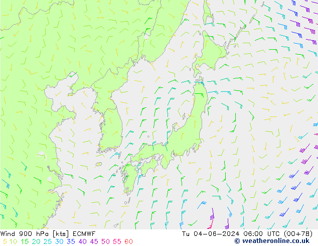  900 hPa ECMWF  04.06.2024 06 UTC