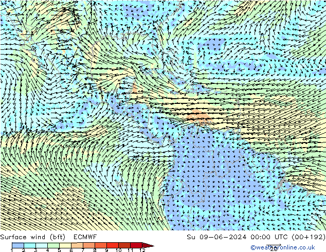 Vent 10 m (bft) ECMWF dim 09.06.2024 00 UTC
