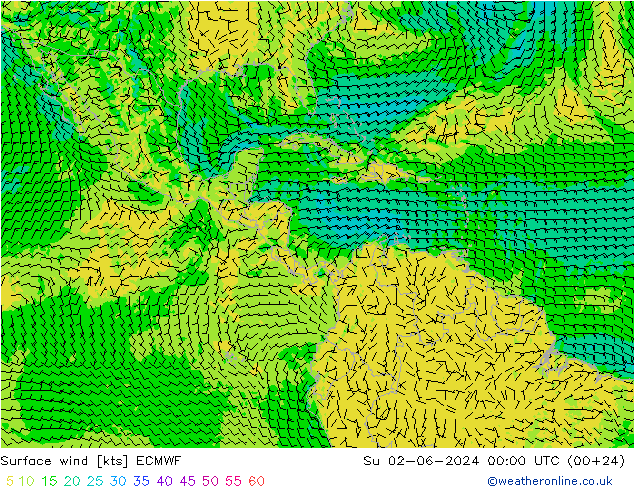 Vento 10 m ECMWF dom 02.06.2024 00 UTC